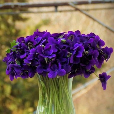 9f52faddae357fb97d90464385ecb097