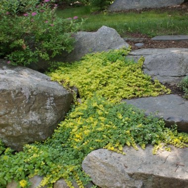 contemporary-landscape