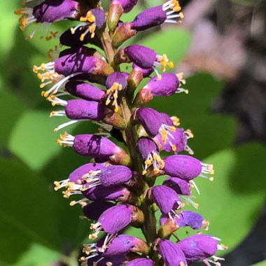 jkm230418_2631