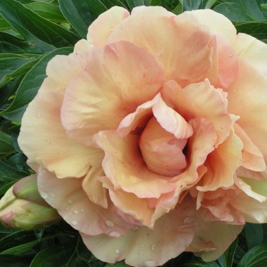 soleil-dambre-1-1024x875