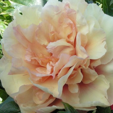 soleil-dambre-2-1024x768
