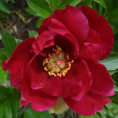 unique_06722